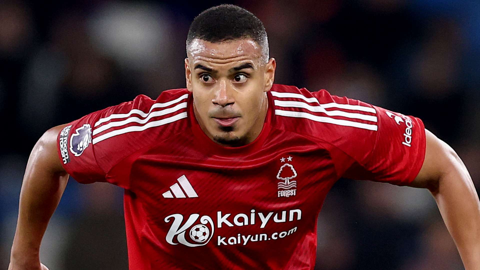 充满看点的 充满看点的