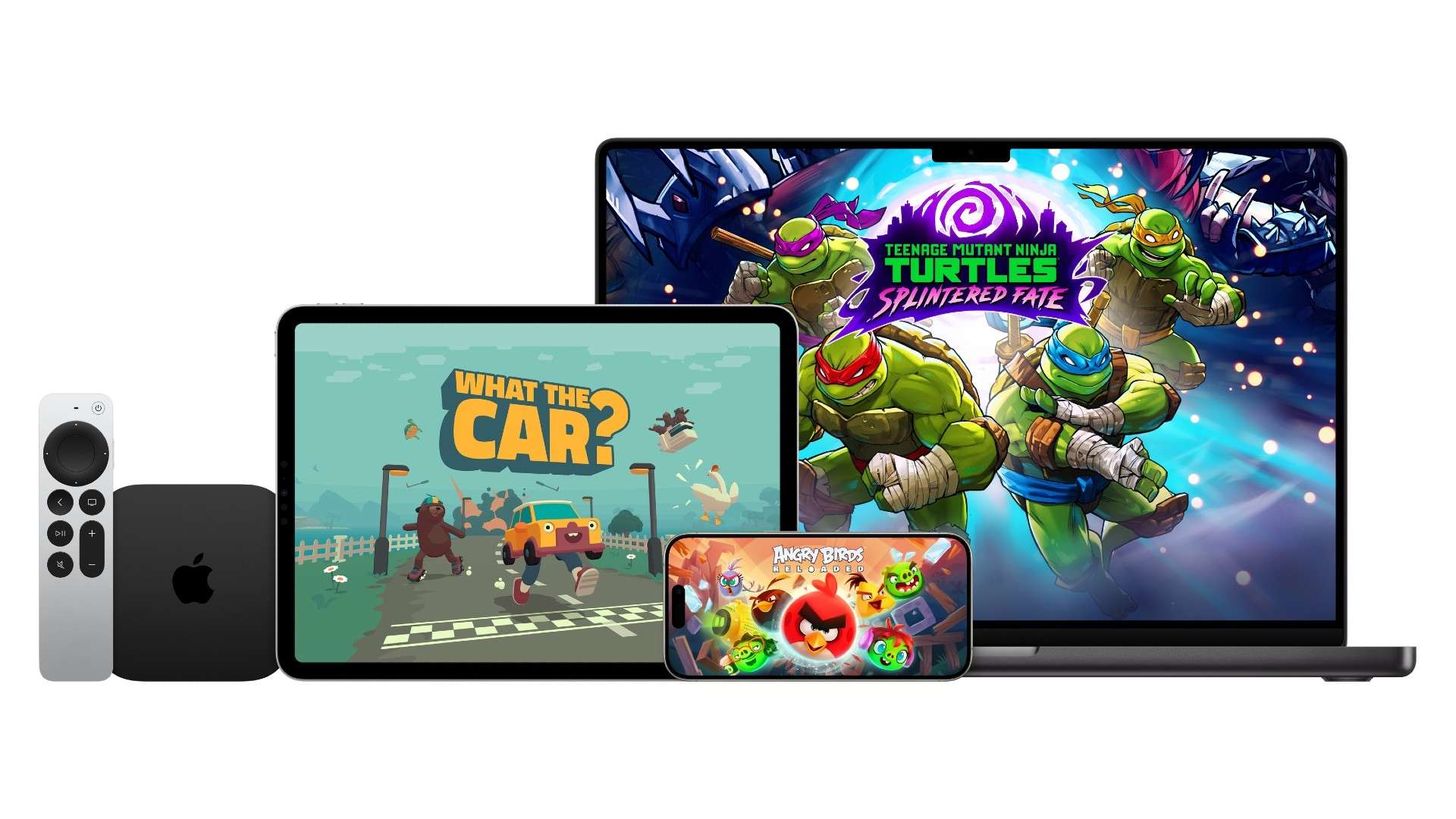 的独特魅力 的独特魅力